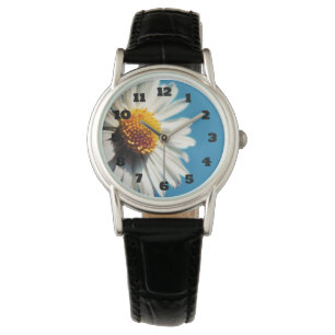 Montre Une pâtisserie blanche sous un ciel bleu