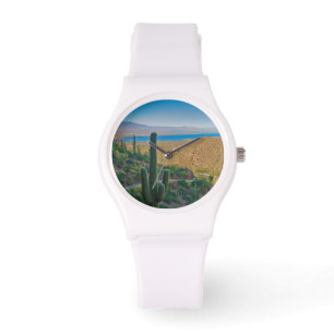 Montre USA, Arizona. Vue De L'Entrée À Tonto