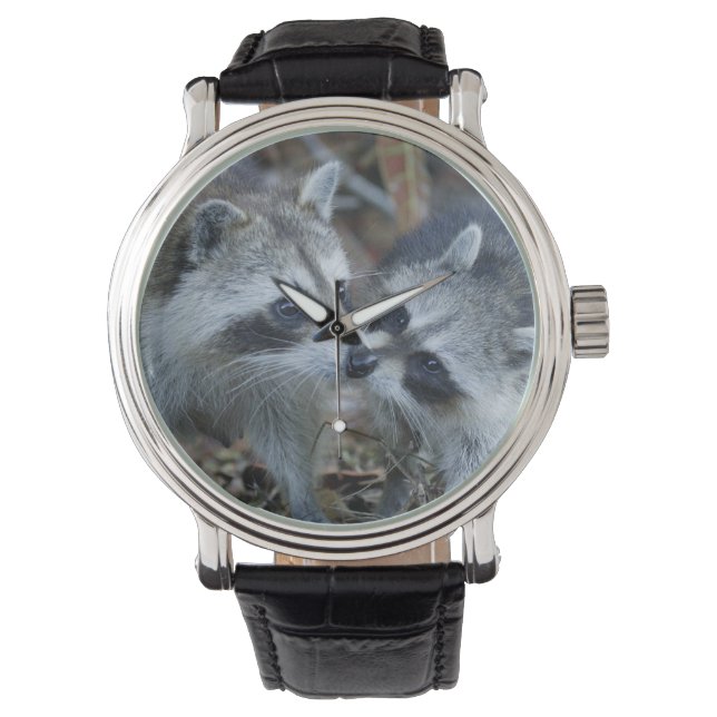 Montre USA, Floride, Sanibel, Ding Darling National (devant)