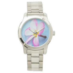 Montre USA, Hawaii, Oahu, Plumeria fleurs en fleurs 2