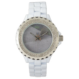 Montre Veille à l'écureuil