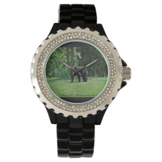 Montre Veille à l'ours