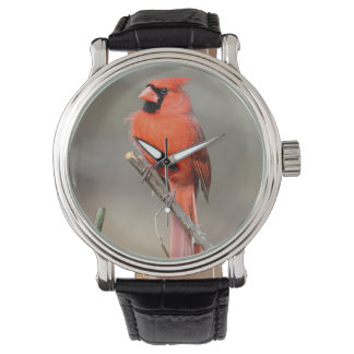Montre Veille cardinale