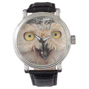 Montre Veille de jeunes Harfangs des neiges