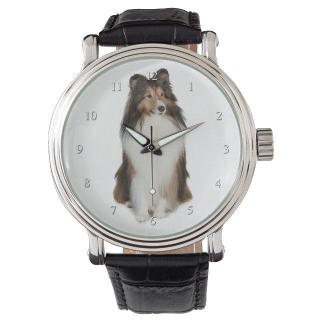 Montre Veille de l'étagère (devant)