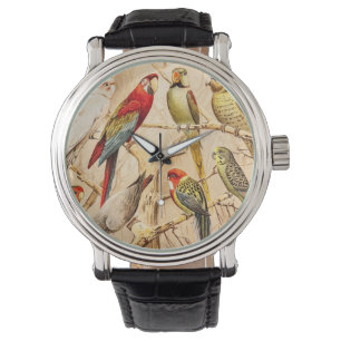 Montre Vintage Parrot