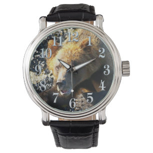 Montre Visage de l'ours grizzli côtier - Photo de la faun