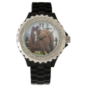 Montre vive de cheval de pur sang