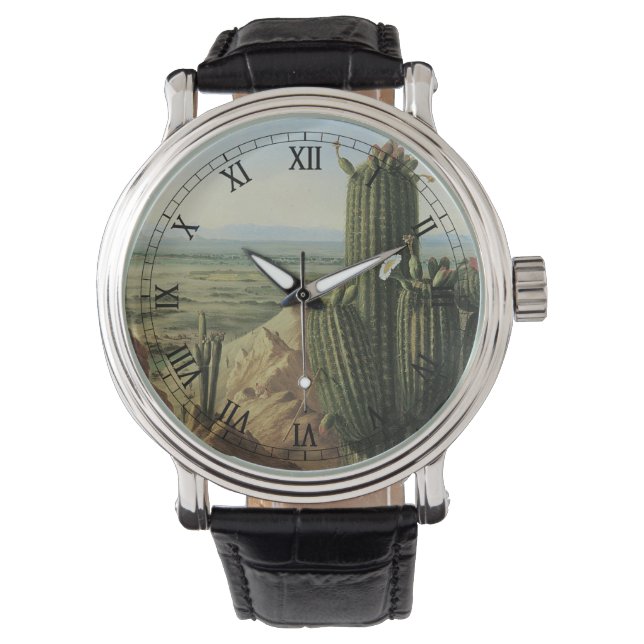 Montre Vue de la montagne Maricopa près de Rio Gila par P (devant)