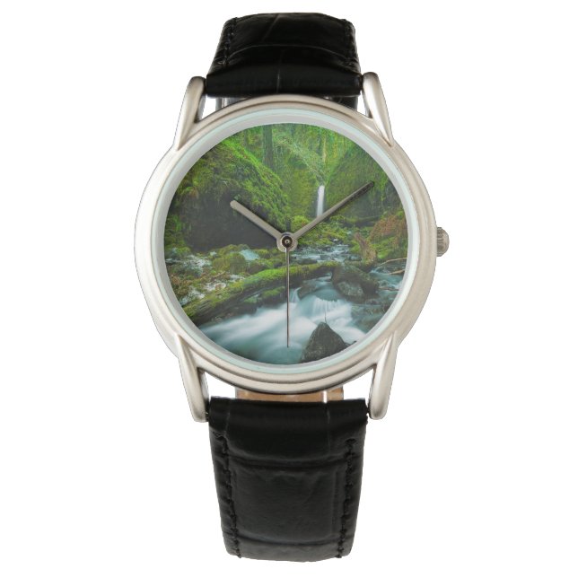 Montre Waterfalls | Grotto Falls, Oregon (devant)