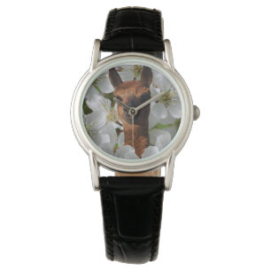 Montre Wooly Brown Young Alpaca,