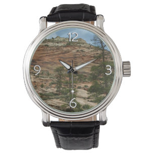 Montre Worn Rock Walls dans le Parc national de Sion