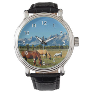 Montre Wyoming, Teton Mountains, avec Horses Grazing