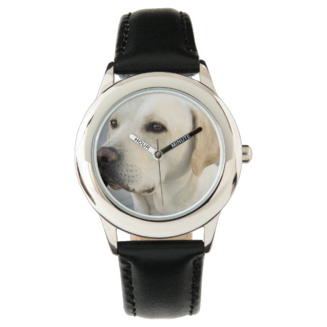 Montre Yellow Labrador Retriever (devant)