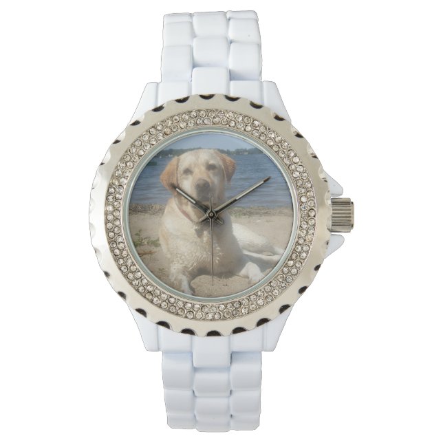 Montre Yellow Labrador Retriever (devant)