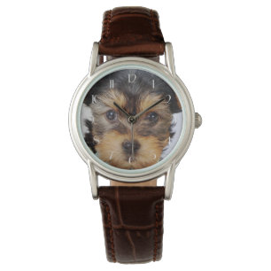 Montre Yorkshire Terrier