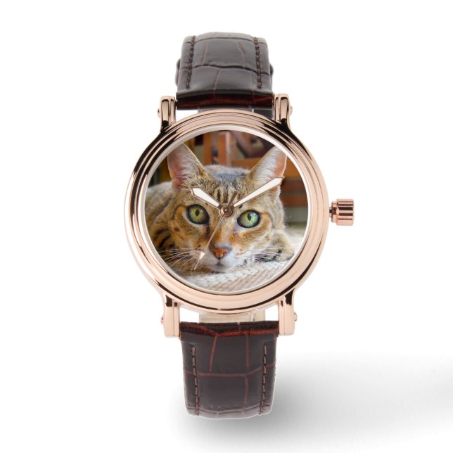 Montres Cute Cat (Recto)