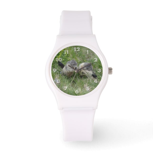 Montres Marmottes (Recto)