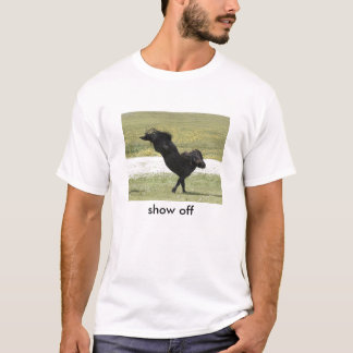 Montrez le T-shirt