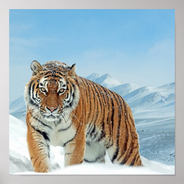 Monts du Tigre des neiges Hiver Nature Poster phot (Devant)