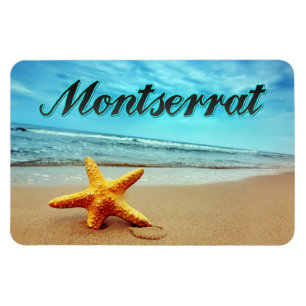 Montserrat starfish magnet