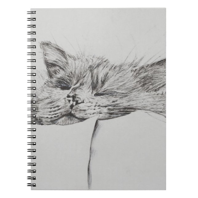 Monty sleepy boy notebook (Front)