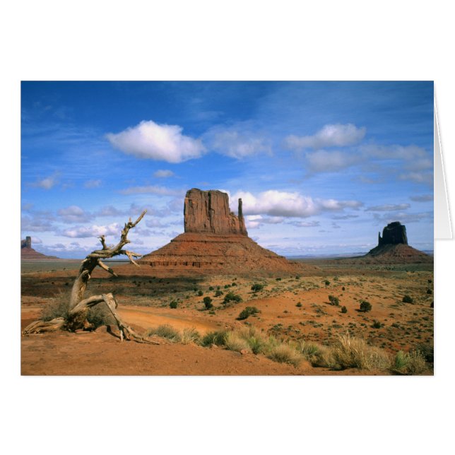 Monument coloré Vallée Mittens en Utah USA (Devant horizontal)