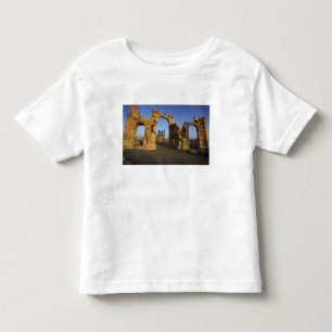 Monumental Arch, Palmyra, Homs, Syria Toddler T-shirt