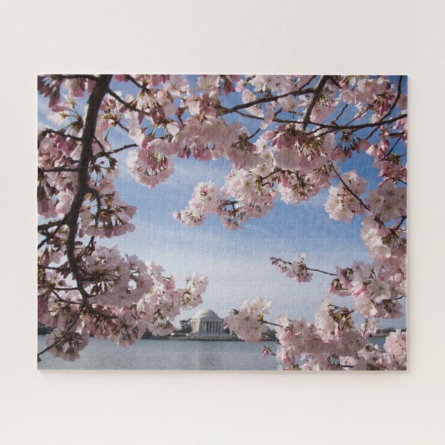 Monuments | Jefferson Memorial Cherry Blossoms Jigsaw Puzzle (Horizontal)