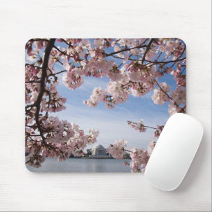 Monuments   Jefferson Memorial Cherry Blossoms Mouse Pad