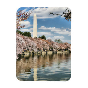 Monuments   Washington Memorial Magnet