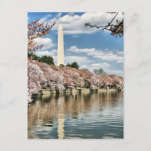 Monuments   Washington Memorial Postcard