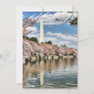 Monuments   Washington Memorial Thank You Card