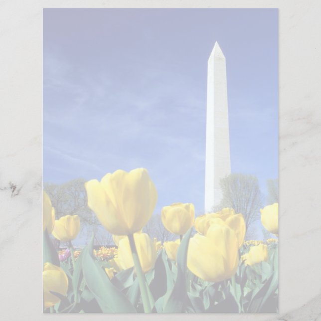 Monuments | Washington Monument in Spring (Front)