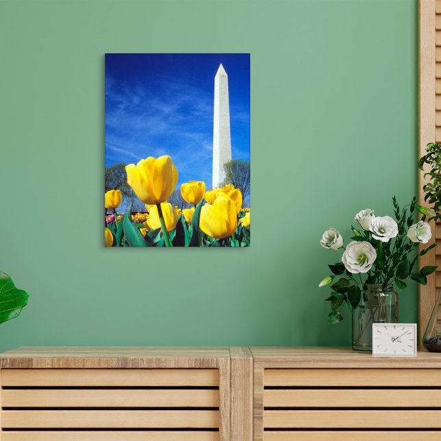 Monuments | Washington Monument in Spring Canvas Print (Creator Uploaded)
