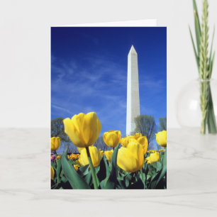 Monuments   Washington Monument in Spring Card