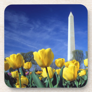 Monuments Washington Monument in Spring Coaster