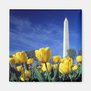 Monuments   Washington Monument in Spring Magnet