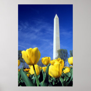 Monuments Washington Monument in Spring Poster