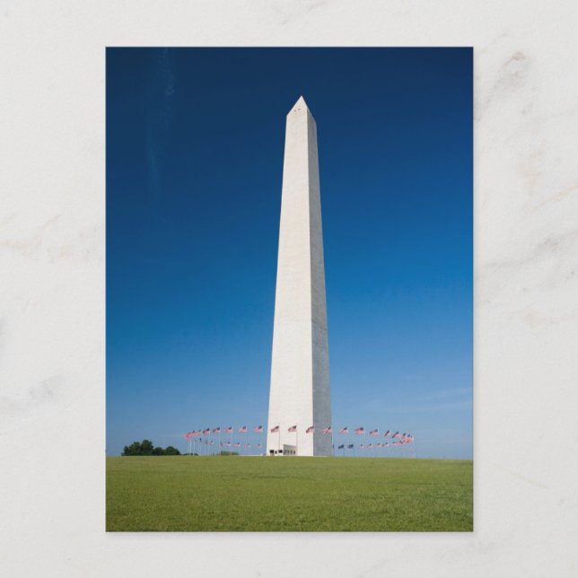 Monuments | Washington Monument with Flags Postcard (Front)