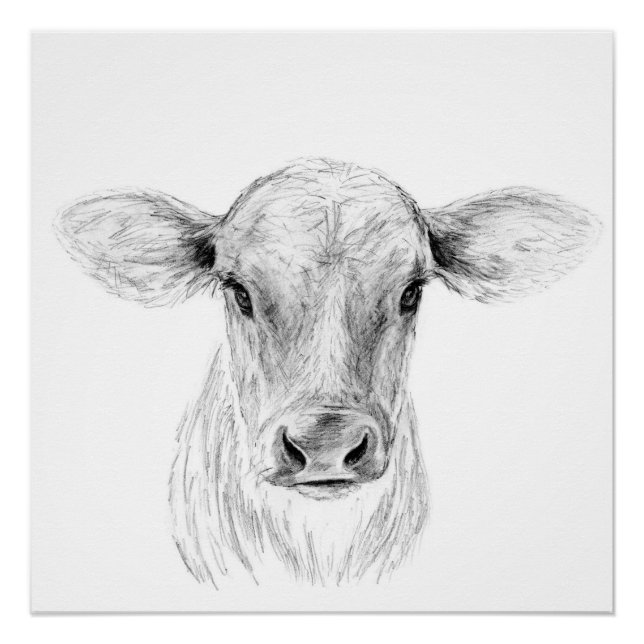 Moo A Young Jersey Cow Poster (Front)