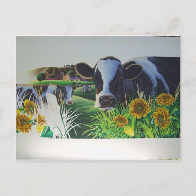 Moo Cow With SunFlowers Postcard (Front)