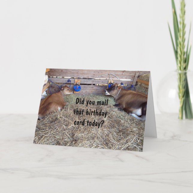 MOO COWS TALK ABOUT YOUR BIRTHDAY WISH CARD (Front)
