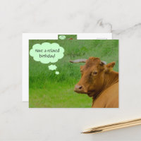 Moo! Cute cow wishes a relaxed birthday Postcard