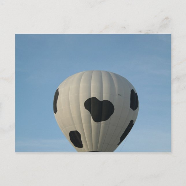 Moo!  Greetings, xlta event Postcard (Front)