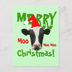 Moo Moo Moo Merry Christmas Cow Postcard
