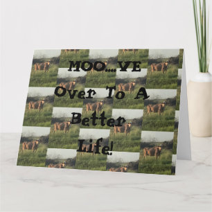Moo...ve Over! Card