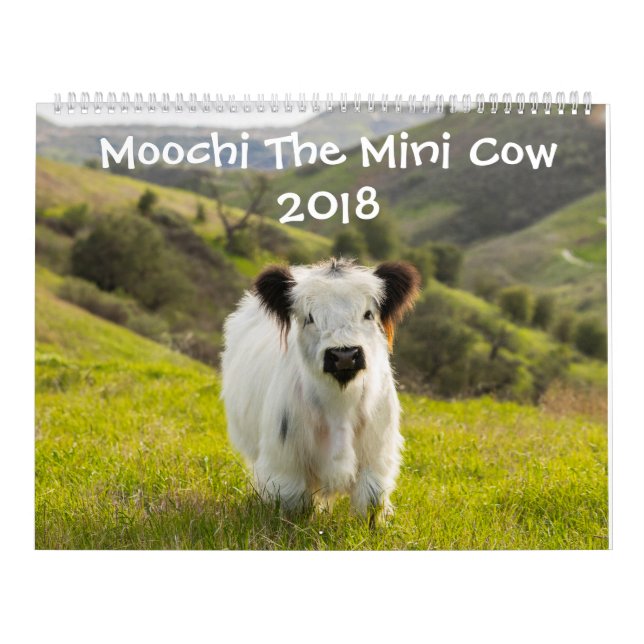 Moochi le mini calendrier de la vache 2018 (Protection)