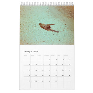 Mood: 2019 calendar