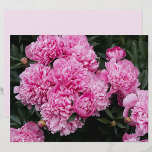 Moody and elegant pink peony  Scrapbook Paper